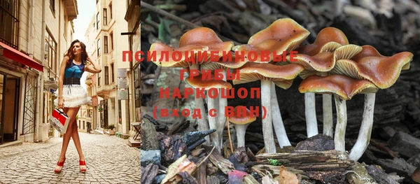 ешки Кулебаки
